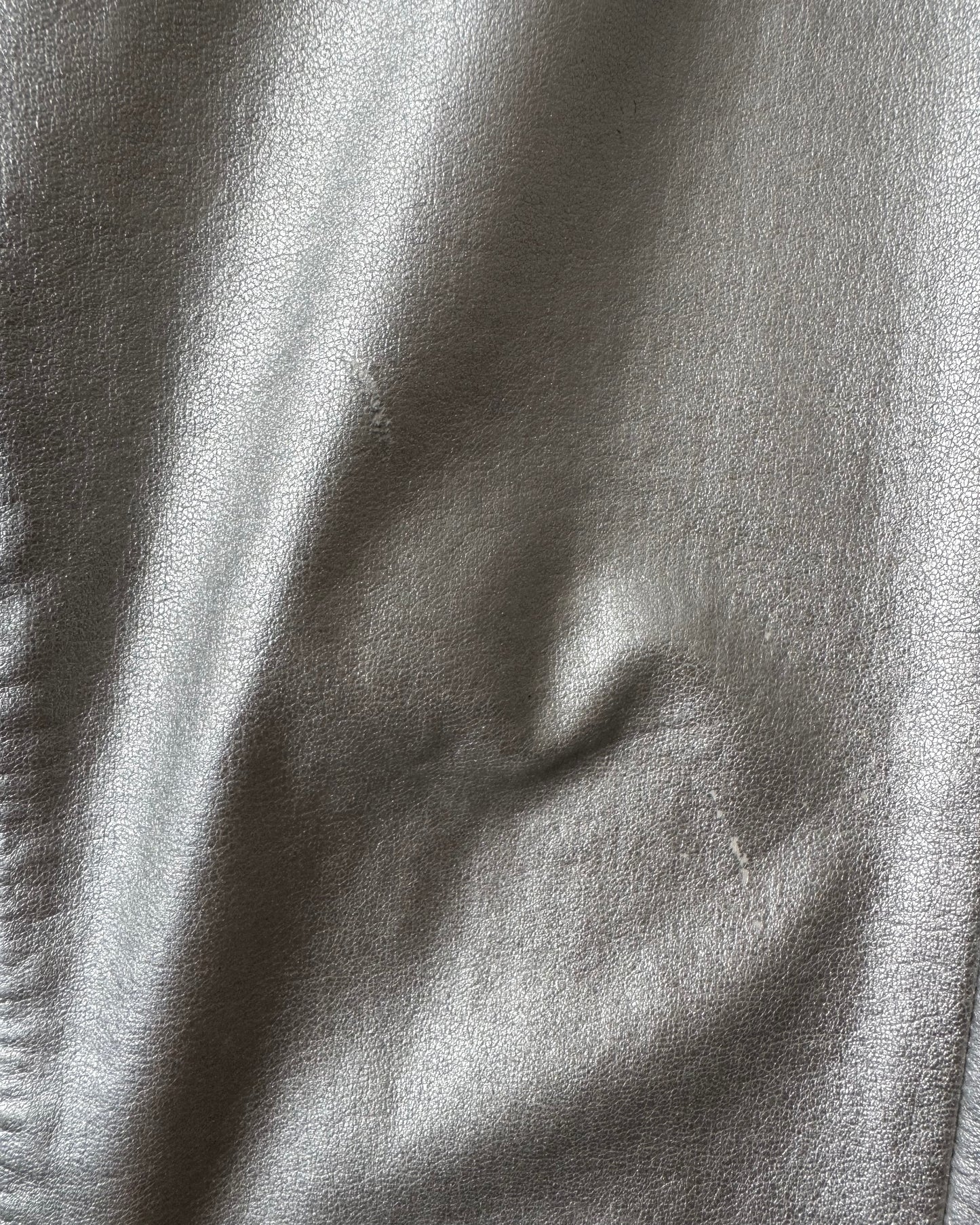 S/S 20 Silver Zipped Pants