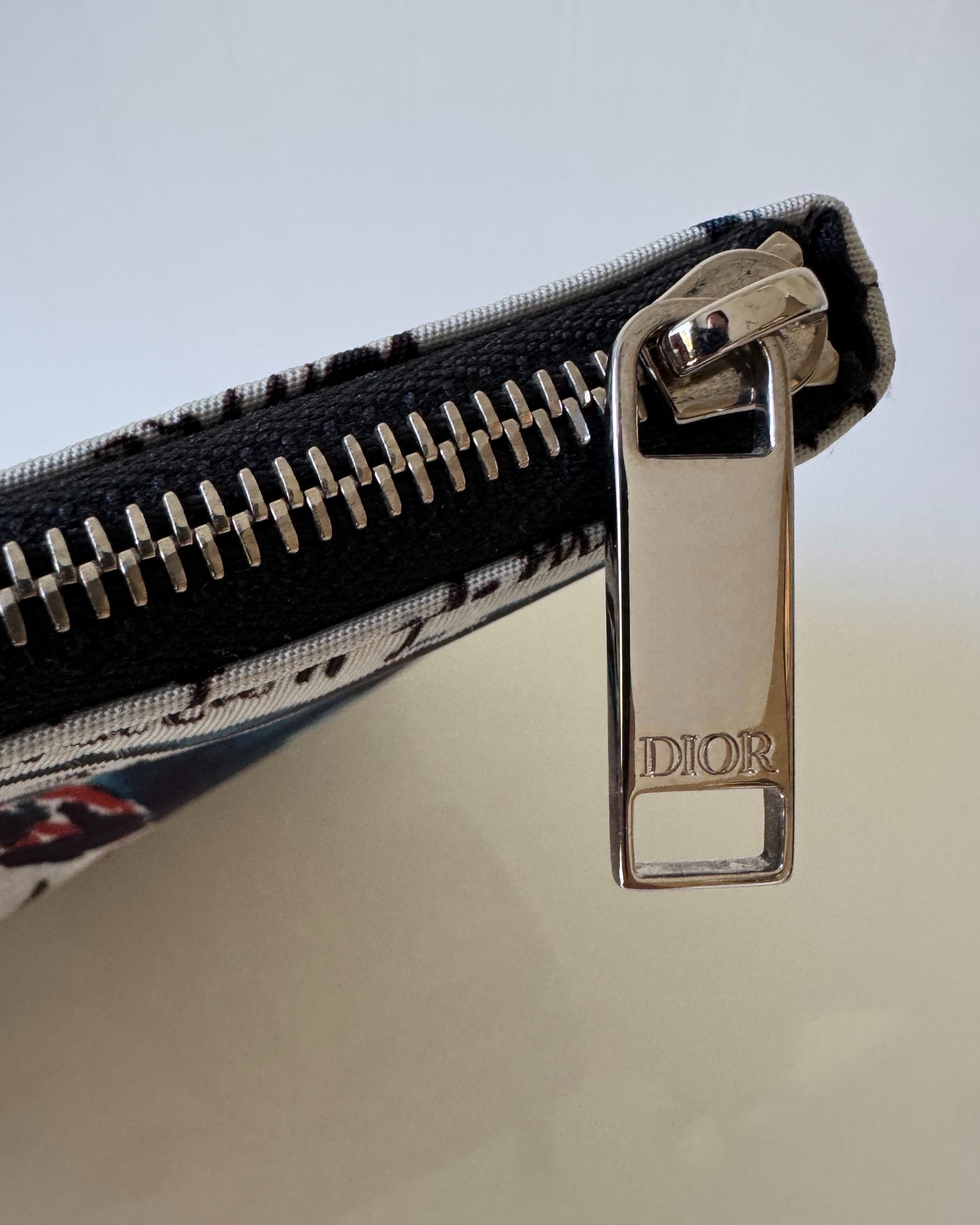 F/W 19 Raymond Pettibon Canvas Pouch